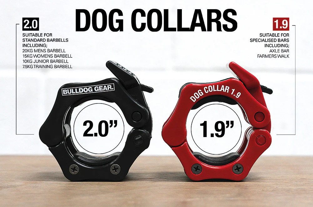 Bulldog Gear - Barbell Weight Dog Collars 2.0 - Image 8