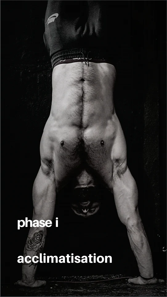 Bulldog Gear - Body(weight) Building: The Guide - Andrew Tracey - Image 7
